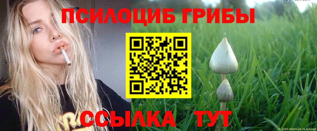 Галлюциногенные грибы Cubensis Новоалтайск