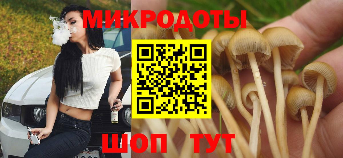 Псилоцибиновые грибы мицелий Новоалтайск