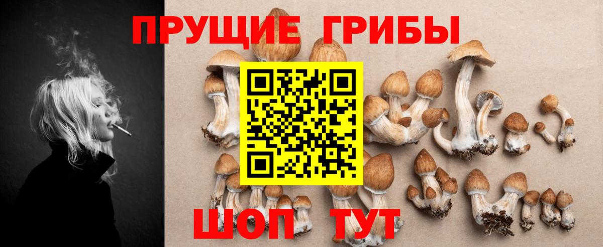 Галлюциногенные грибы прущие грибы  Галлюциногенные грибы GOLDEN TEACHER  Новоалтайск 