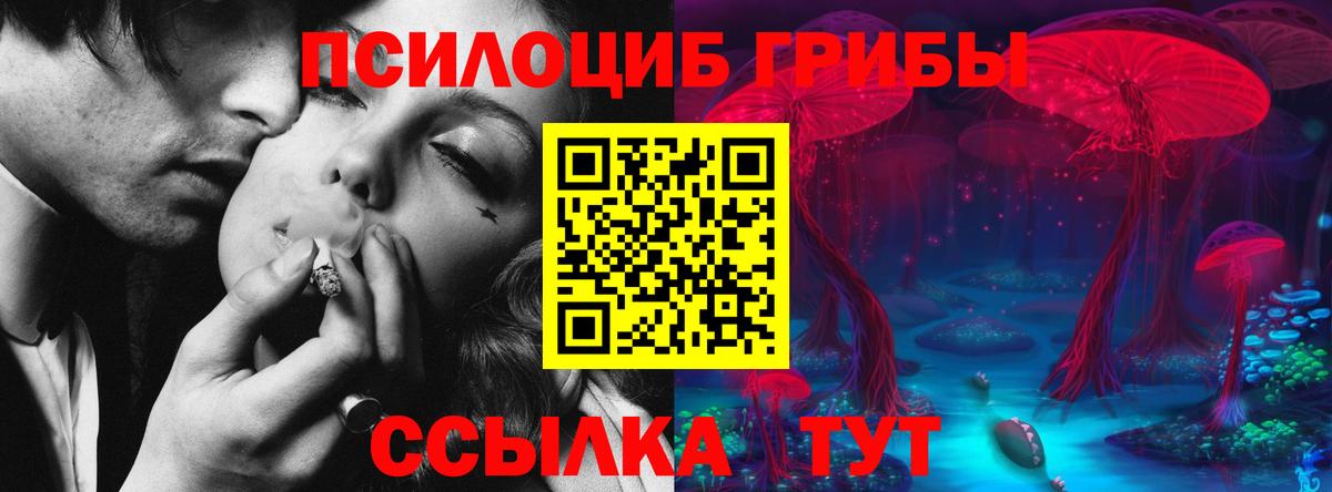 Меф кристаллы  Гашиш  Амфетамин   Вход с VPN  Новоалтайск  Где купить  Конопля  APVP СОЛЬ   Лсд 25 